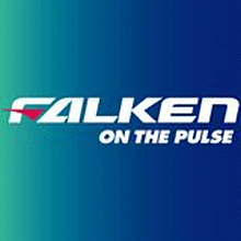 Logo Falken